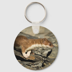 Llavero Sniffing Weasel