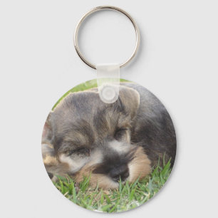 Llavero Snoozing Schnauzer Keychain