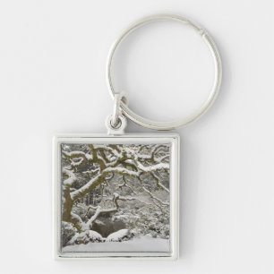 Llavero Snow-covered Japanese maple