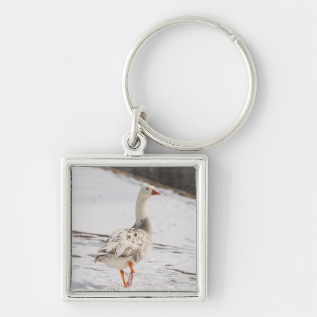 Llavero Snow Goose Strout (Frente)