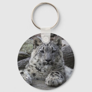 Llavero Snow Leopard Cub Sitting