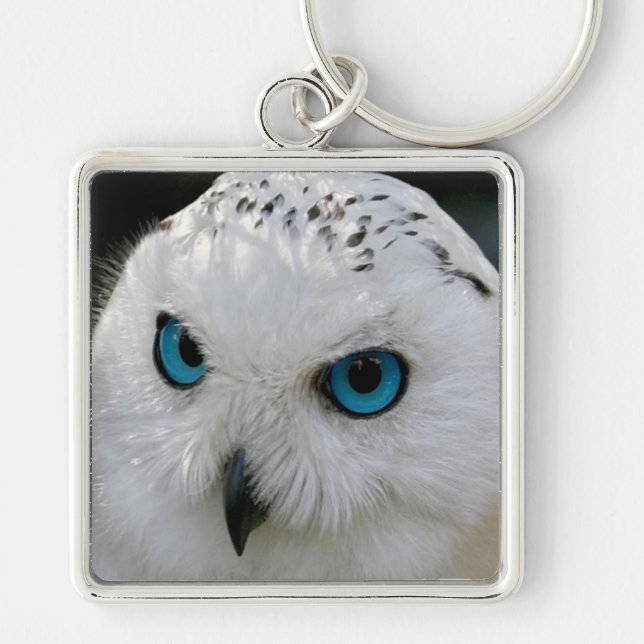 Llavero Snowy Owl (Frente)