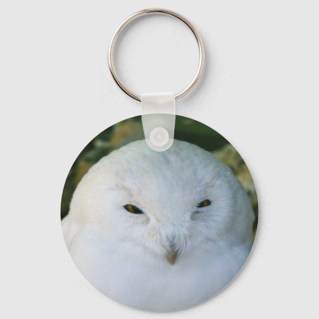 Llavero Snowy Owl (Anverso)