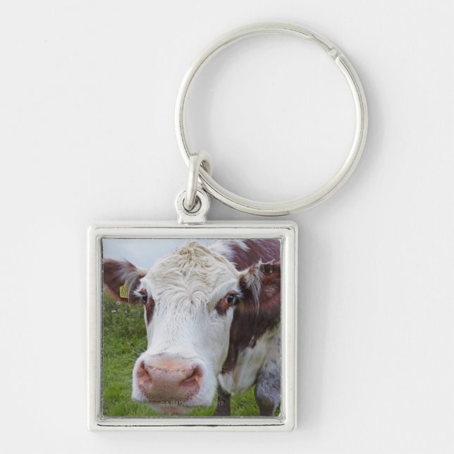 Llavero Sola vaca peerring en cámara (Frente)