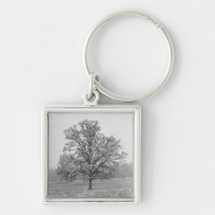 Llavero Solo árbol en el campo B&W