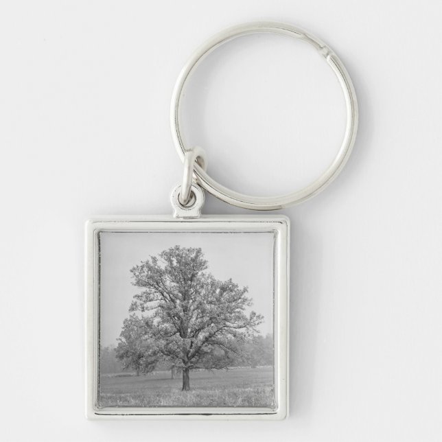Llavero Solo árbol en el campo B&W (Frente)
