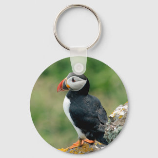 Llavero Solo Puffin