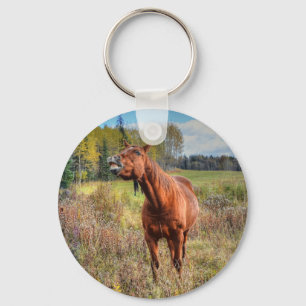 Llavero Sorrel Mare Equine Photo Ranch