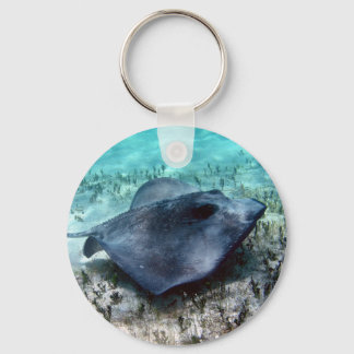 Llavero Southern Stingray