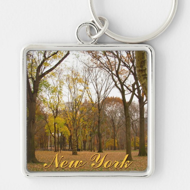 Llavero Souvenirs New York Forest Key Chain (Frente)