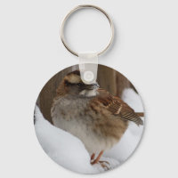 Sparrow