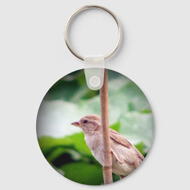 Llavero Sparrow (Anverso)