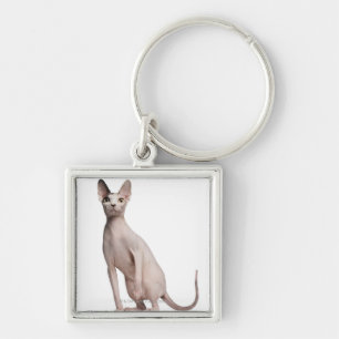 Llavero Sphynx (13 meses)