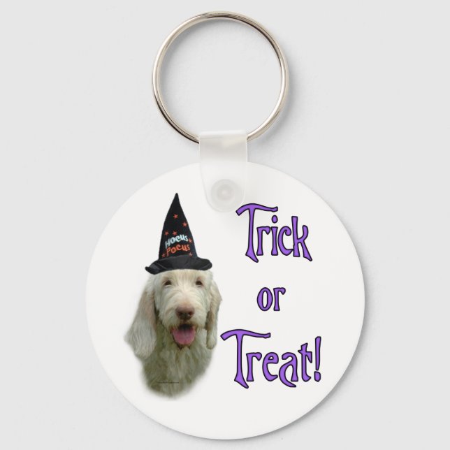 Llavero Spinone Trick Keychain (Anverso)