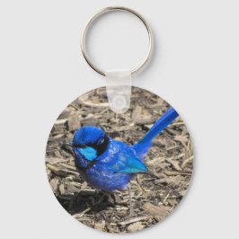Llavero Splendid Fairy Wren Keychain