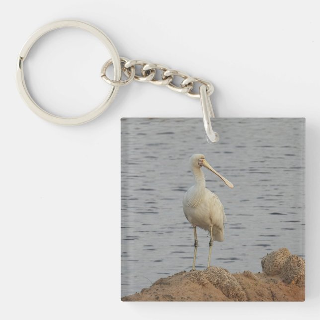 Llavero Spoonbill Bird (Frente)