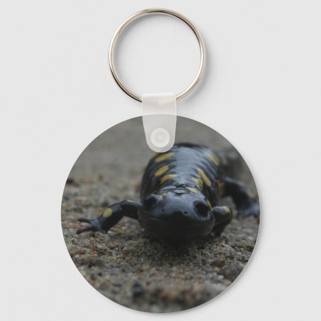 Llavero Spotted Salamander (Anverso)
