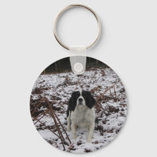 Llavero Springer Spaniel, anillo de claves