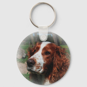 Llavero Springer Spaniel Dog Art