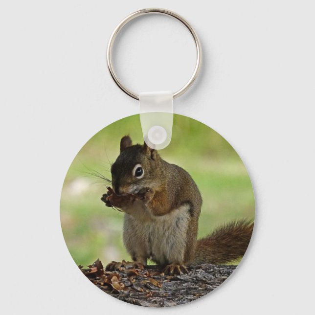 Llavero Squirrel eating Cone (Anverso)