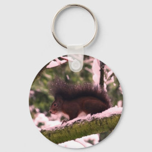 Llavero Squirrel Winter Photo Basic Button Anillo de tecla