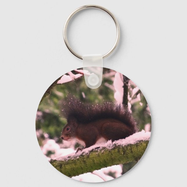 Llavero Squirrel Winter Photo Basic Button Anillo de tecla (Anverso)