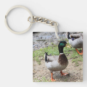 Llavero Sr. Duck