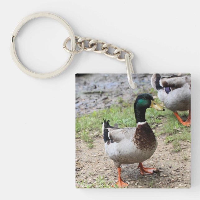 Llavero Sr. Duck (Frente)