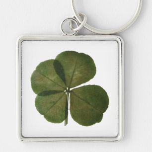 Llavero St Patrick Real 4 Leaf Clover Get Lucky Keychain