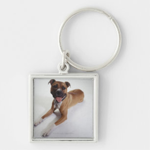 Llavero Staffordshire Terrier americano que se acuesta,