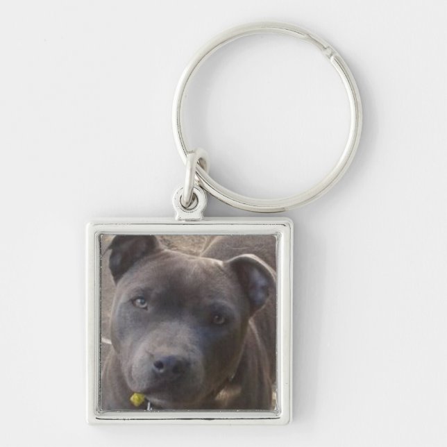 Llavero Staffy azul (Frente)