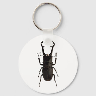 Llavero Stag Beetle