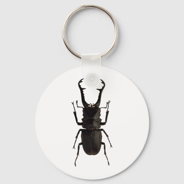 Llavero Stag Beetle (Anverso)