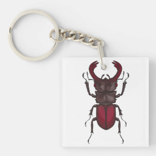 Llavero Stag beetle