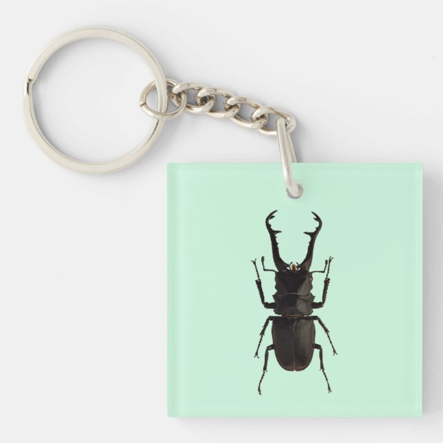 Llavero Stag Beetle (Frente)