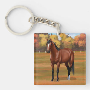 Llavero Stallion de caballos del barrio de Brown Bay