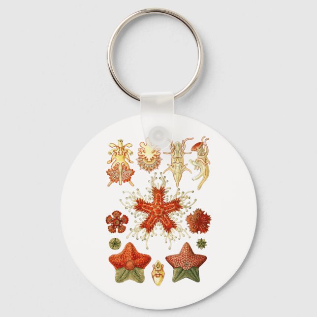 Llavero Starfish (Anverso)