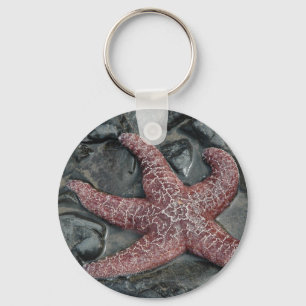 Llavero StarFish en Oceanside, condado de Tillamook, Oregó