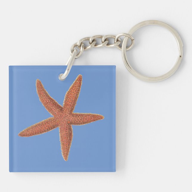 Llavero Starfish - Sherman Denton Fish Lithograph (Atrás)
