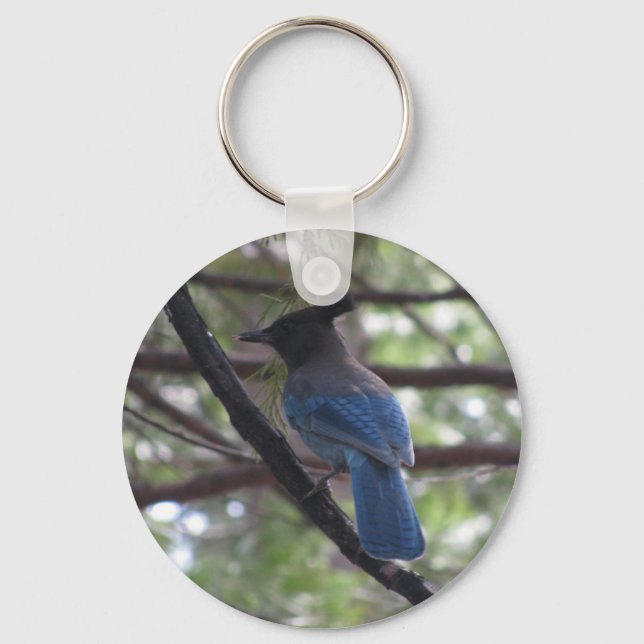 Llavero Stellar Jay-Yosemite (Anverso)
