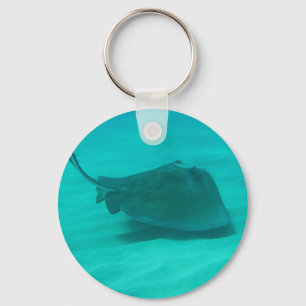 Llavero Stingray del Sur 2