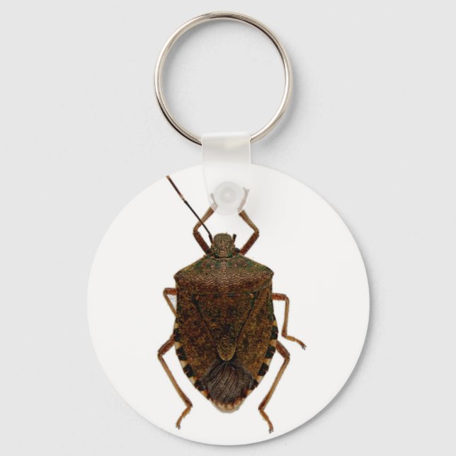 Llavero Stink Bug (Anverso)