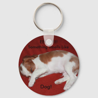 Llavero Stinnky Dog Keychain