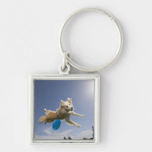 Llavero Stockton, California, los E.E.U.U.