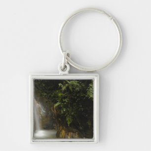 Llavero Sudamérica, Ecuador, pendiente oriental de la