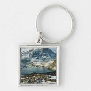 Llavero Suiza, Grindelwald, Alpes Berneses, Vista