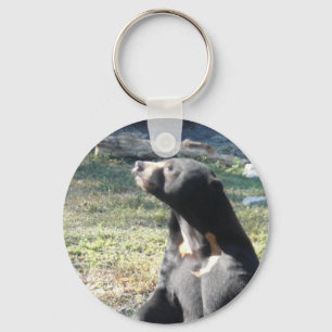 Llavero Sun Bear