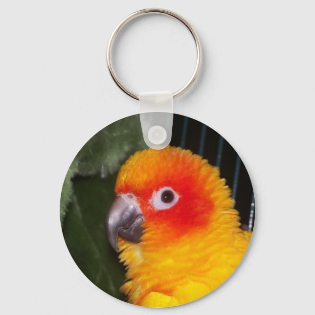 Llavero Sun Conure (Anverso)