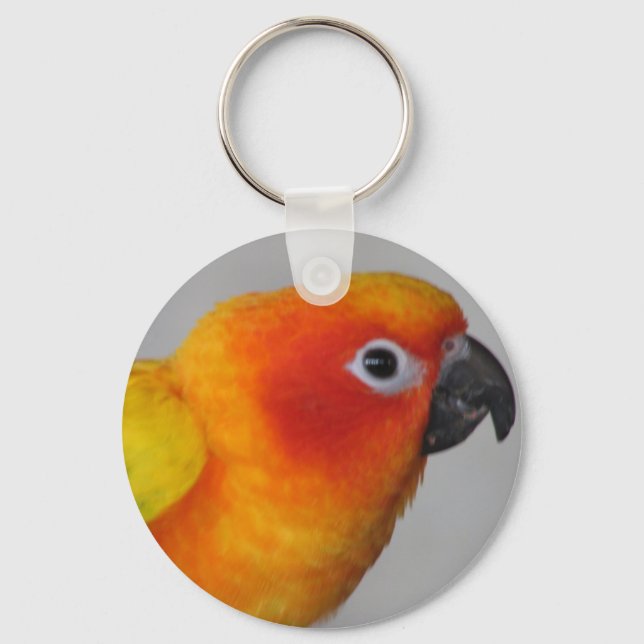 Llavero Sun Conure (Anverso)