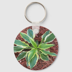 Llavero Sun Hosta